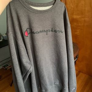🌟SOLD🌟Champion Pull-over